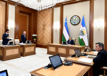 Uzbekistan to cover 50% of AI implementation costs for businesses