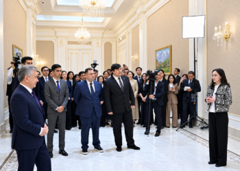 5 billion uzs without collateral and 3 years of freedom: what does presidential decree PF-175 offer businesses?