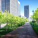 Yashil AI: Can AI help Uzbekistan tackle urban air pollution?