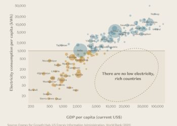 How much electricity does Uzbekistan need to grow its economy?